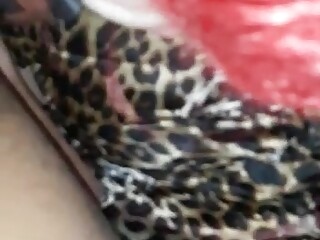 Geile dragqueen Shemale Porn