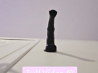 POV Femboy Rides 10inch Horse Cock Above You