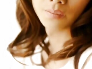 Newhalf Allstars Shemale Porn